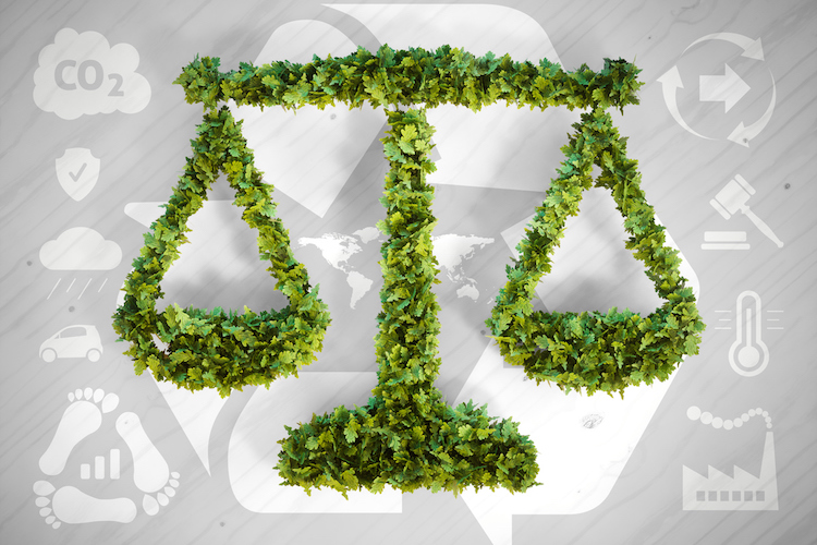 Environmental Law